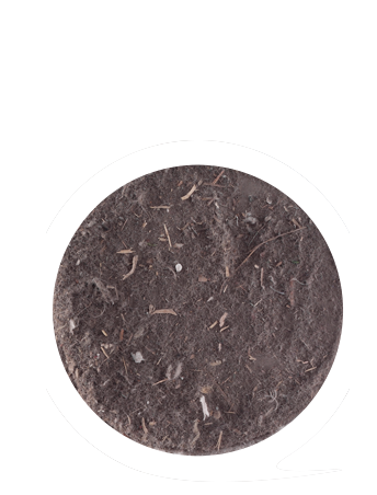 서비스 전/후 사진