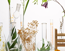 독특한 브랜딩 비율